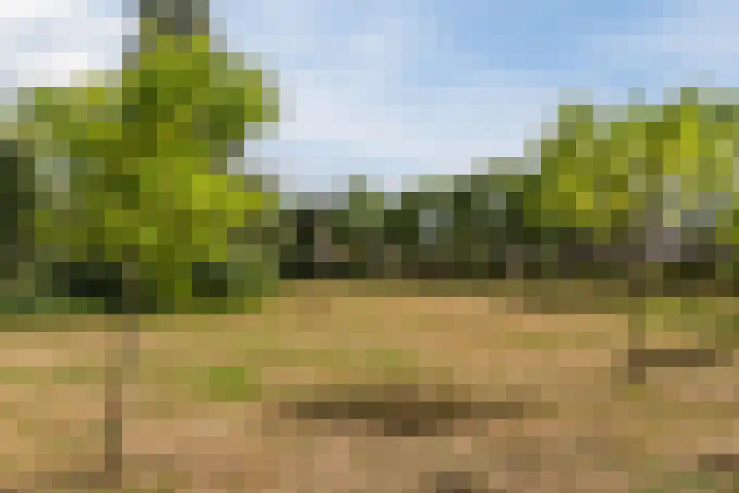 Borchgreve 14 Nuenen thumbnail 38