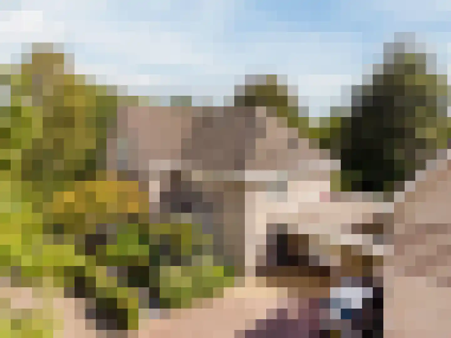 Borchgreve 14 Nuenen thumbnail 6