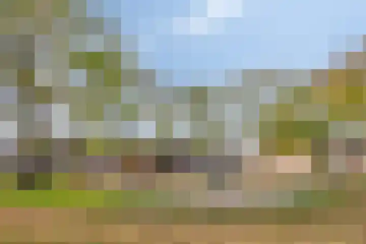 Borchmolen 30 Eindhoven thumbnail 34