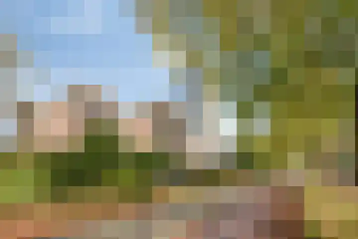 Borchmolen 30 Eindhoven thumbnail 5