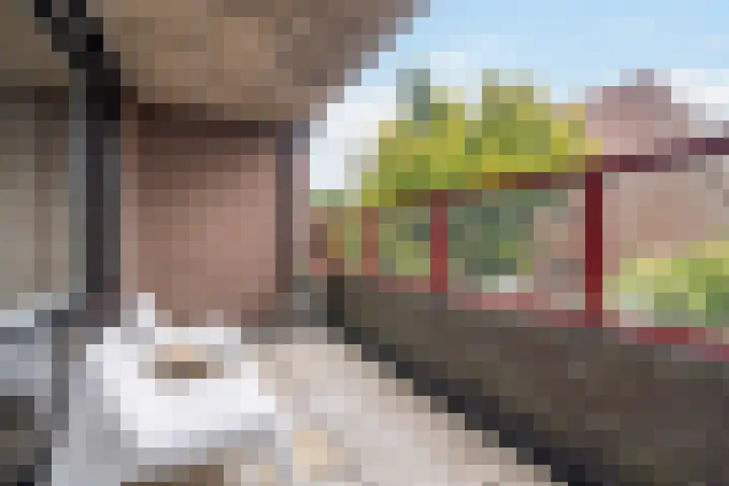 Borchmolen 48 Eindhoven thumbnail 23