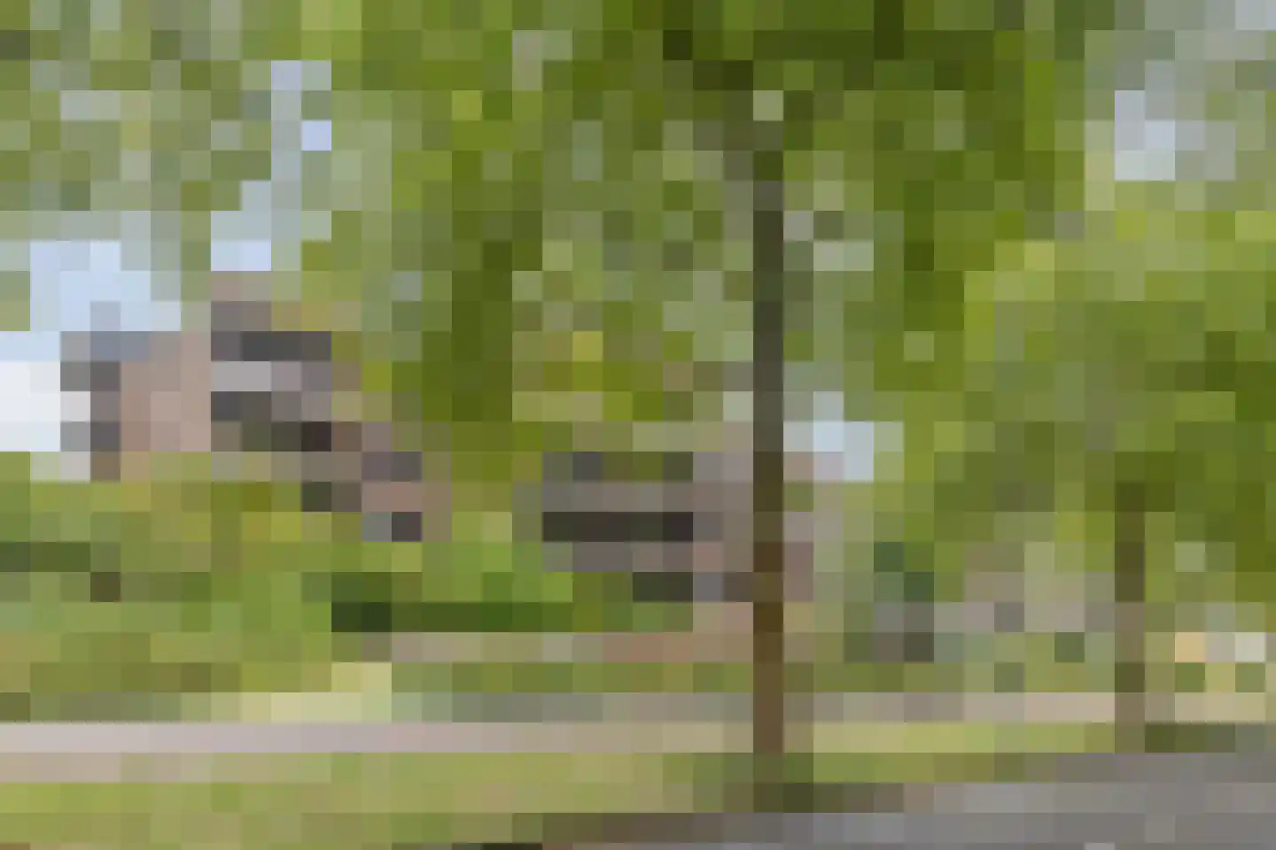 Borchmolen 48 Eindhoven thumbnail 33