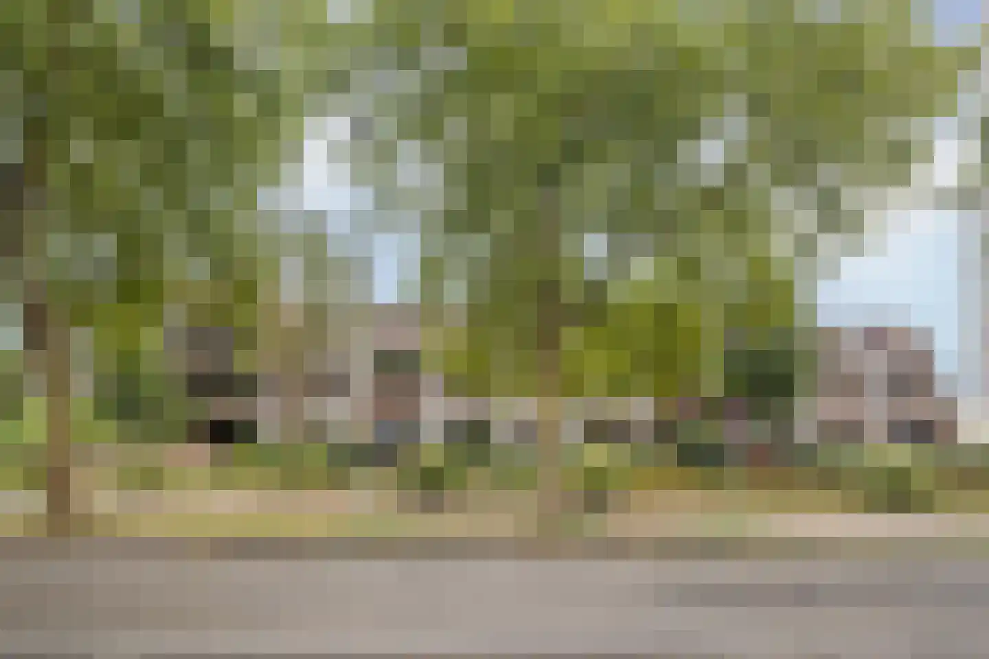 Borchmolen 48 Eindhoven thumbnail 34