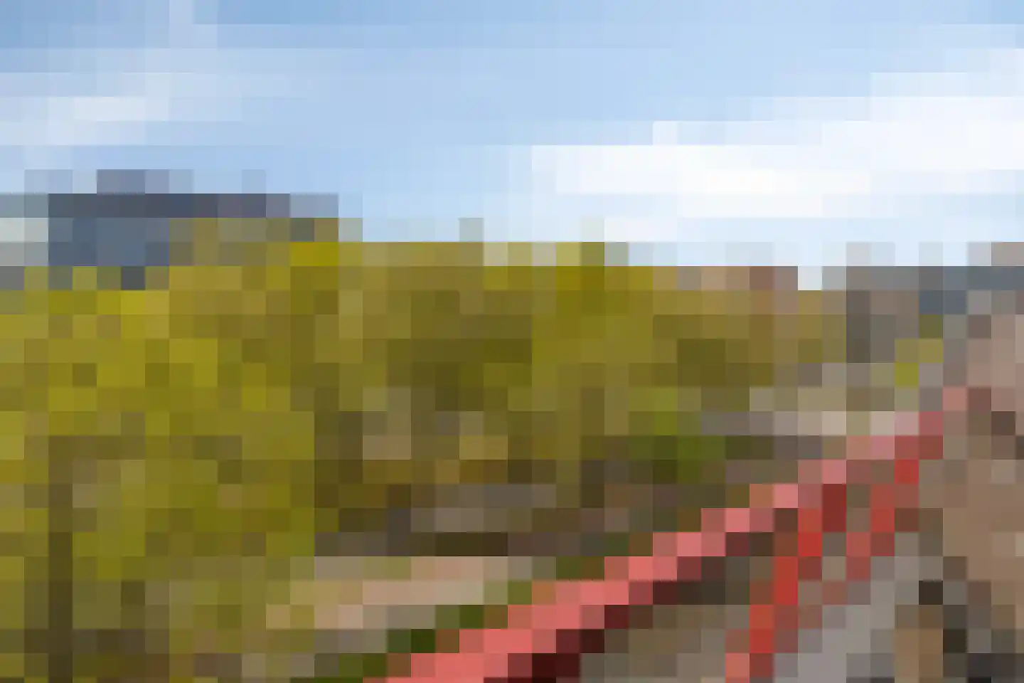 Borchmolen 64 Eindhoven thumbnail 33