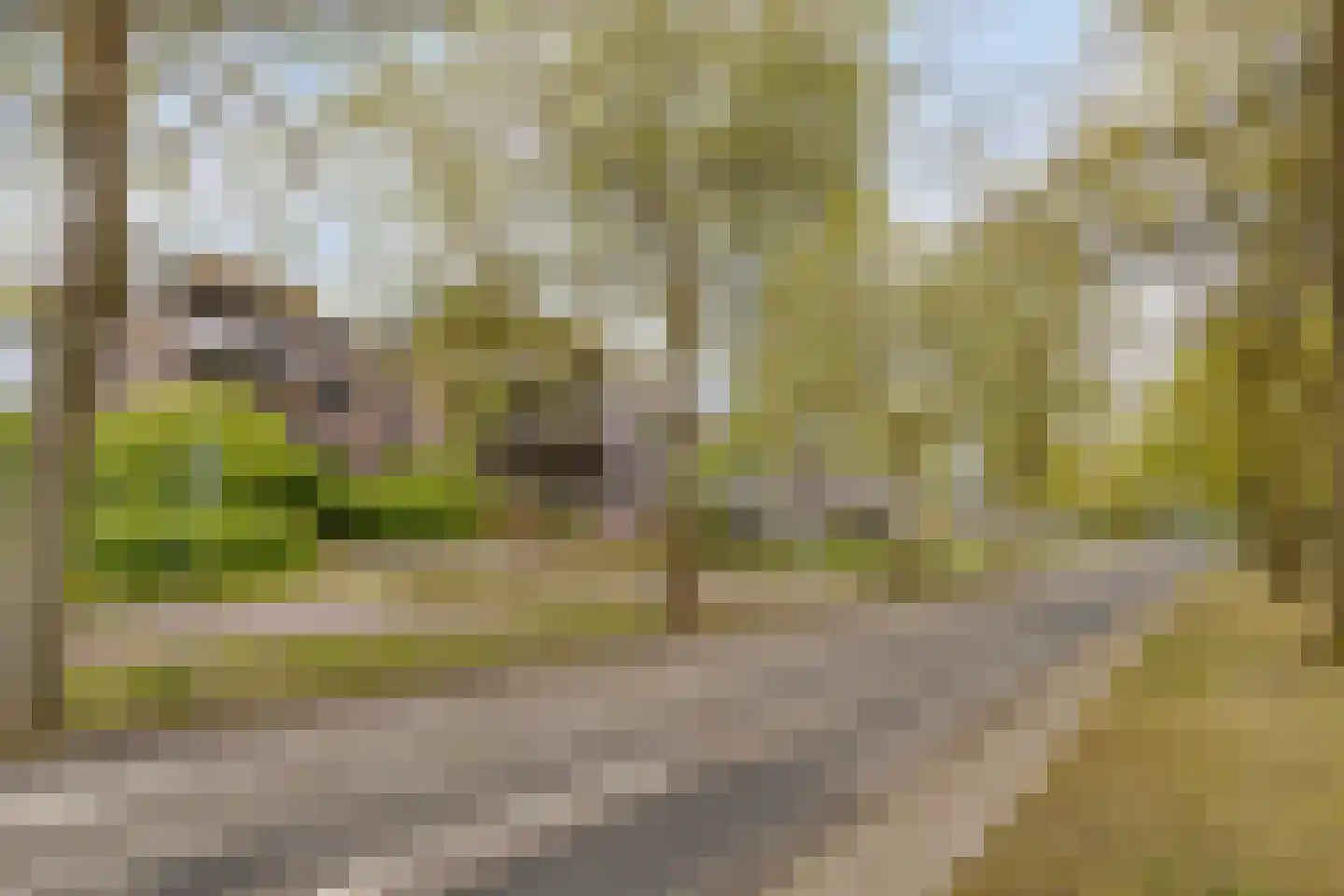 Borchmolen 64 Eindhoven thumbnail 6