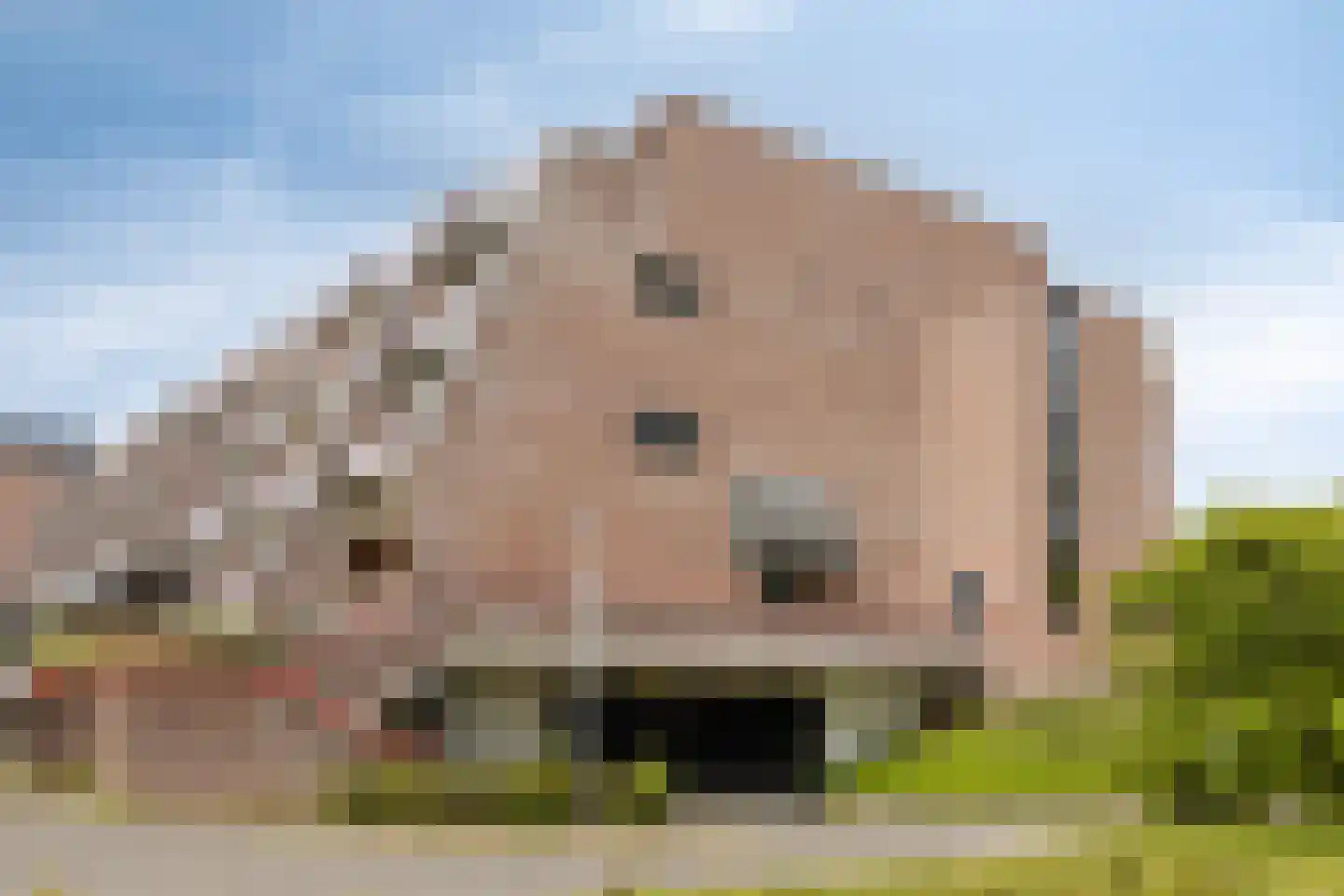 Borchmolen 64 Eindhoven thumbnail 7