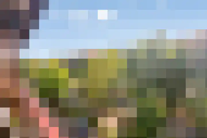Borchmolen 76 Eindhoven thumbnail 23