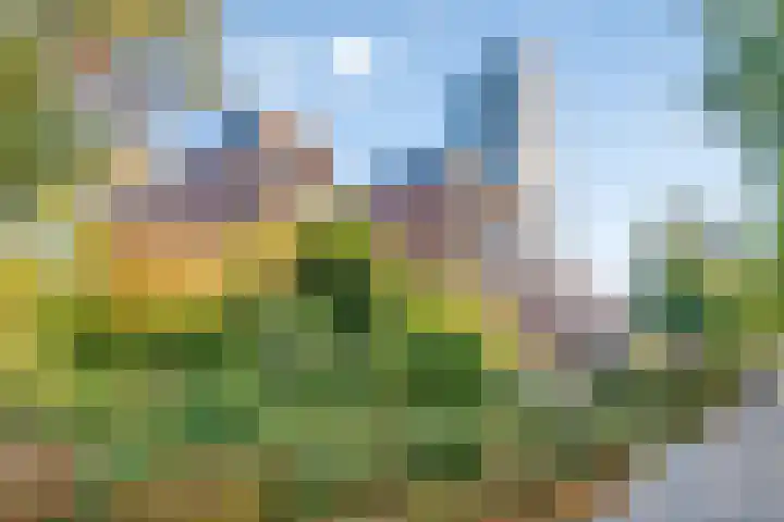 Borchmolen 76 Eindhoven thumbnail 27