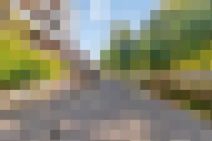 Borchmolen 76 Eindhoven thumbnail 28