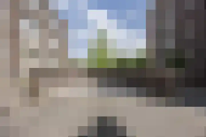 Borchmolendijk 46 Sint-Oedenrode thumbnail 39
