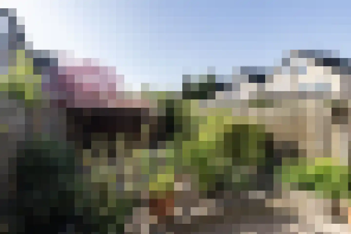 Borchplantsoen 27 Almere thumbnail 29