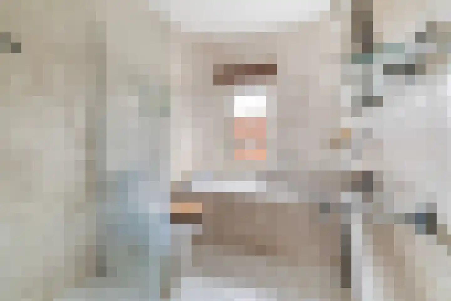 Borchsatelaan 104 Rotterdam thumbnail 10
