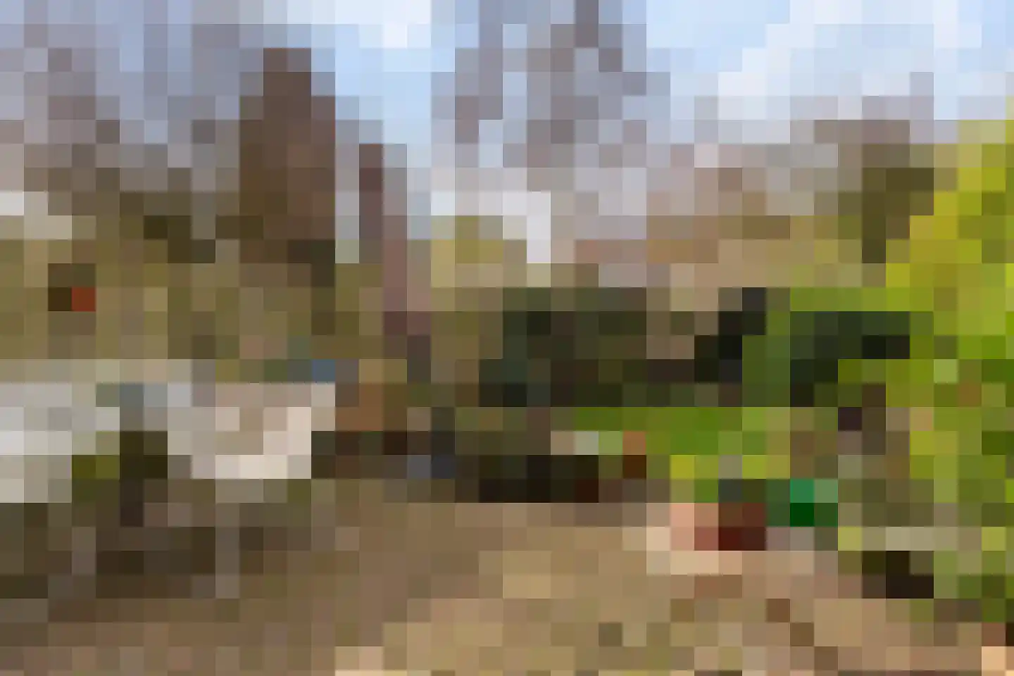 Borchsatelaan 104 Rotterdam thumbnail 14