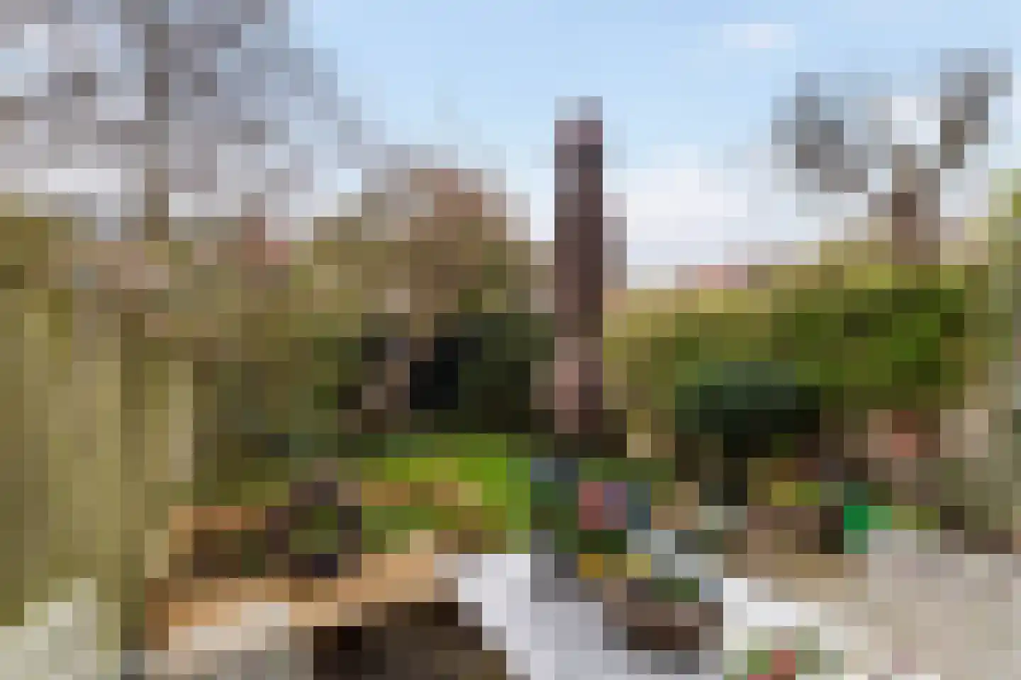 Borchsatelaan 104 Rotterdam thumbnail 15