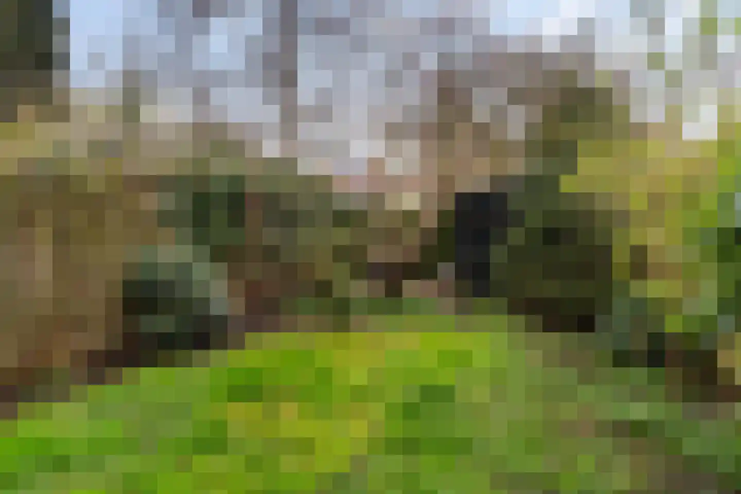 Borchsatelaan 104 Rotterdam thumbnail 16