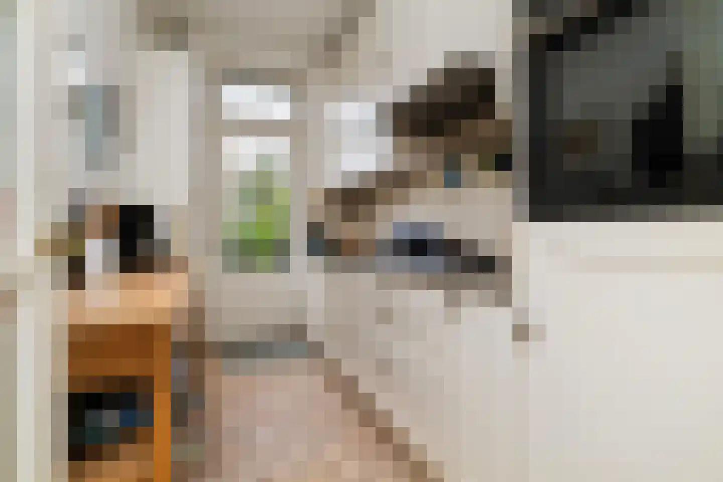 Borchsatelaan 104 Rotterdam thumbnail 7
