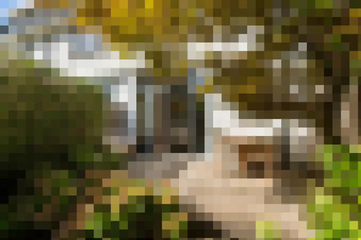 Borchsatelaan 136 Rotterdam thumbnail 13