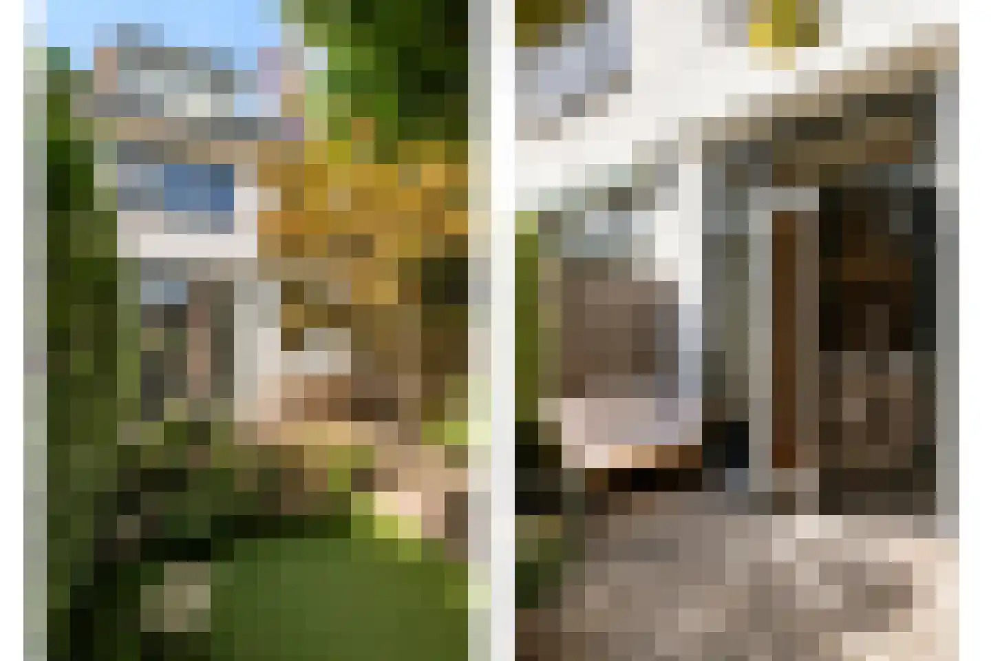 Borchsatelaan 136 Rotterdam thumbnail 14