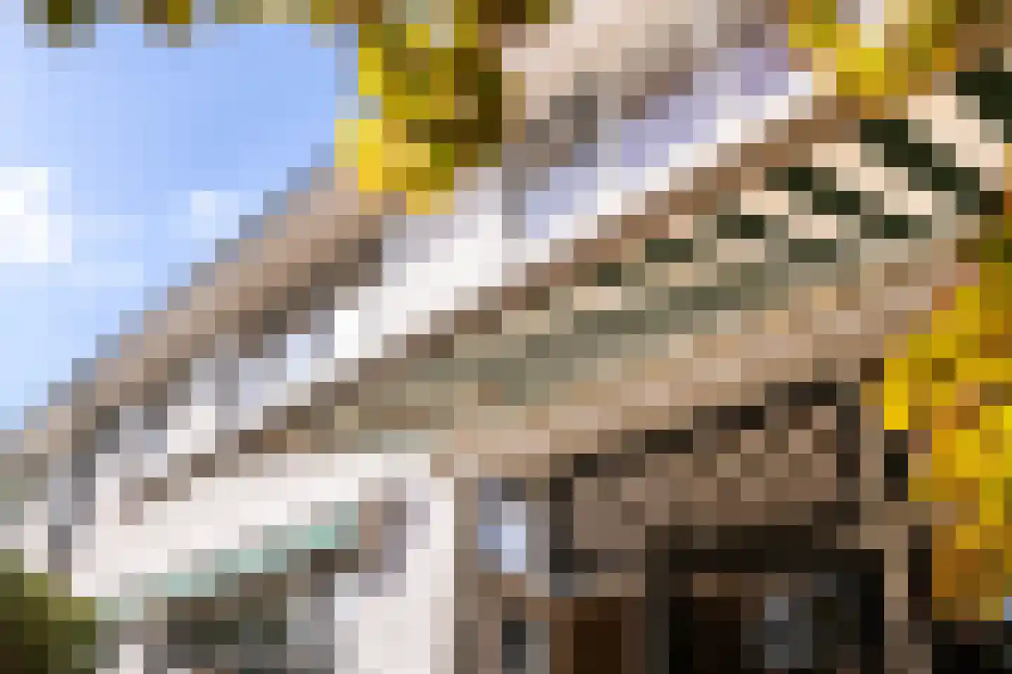 Borchsatelaan 136 Rotterdam thumbnail 15