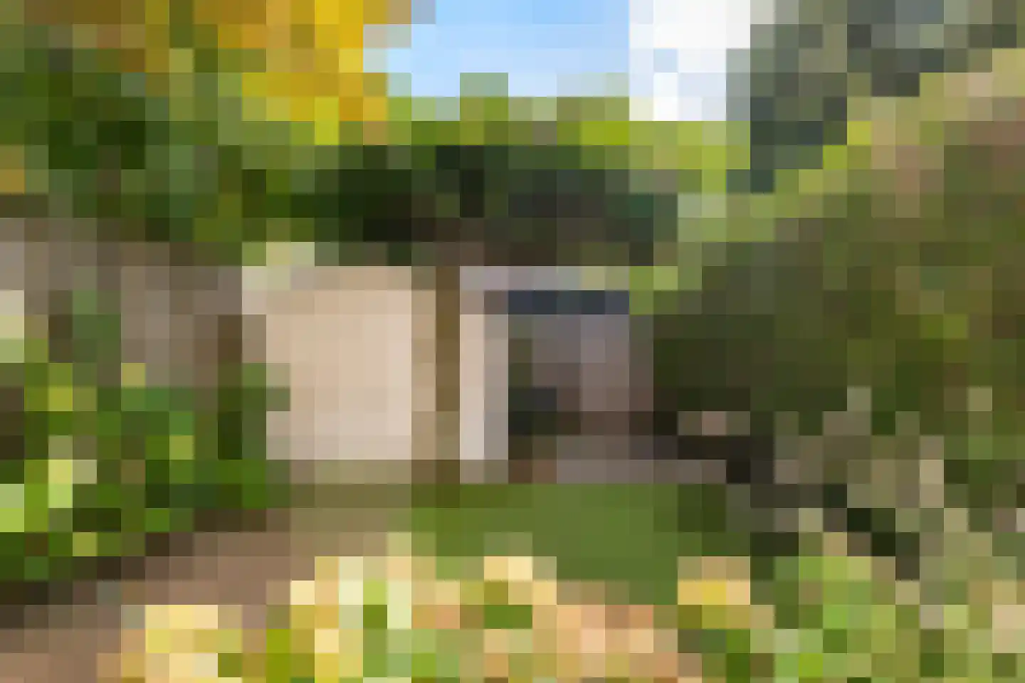Borchsatelaan 136 Rotterdam thumbnail 4