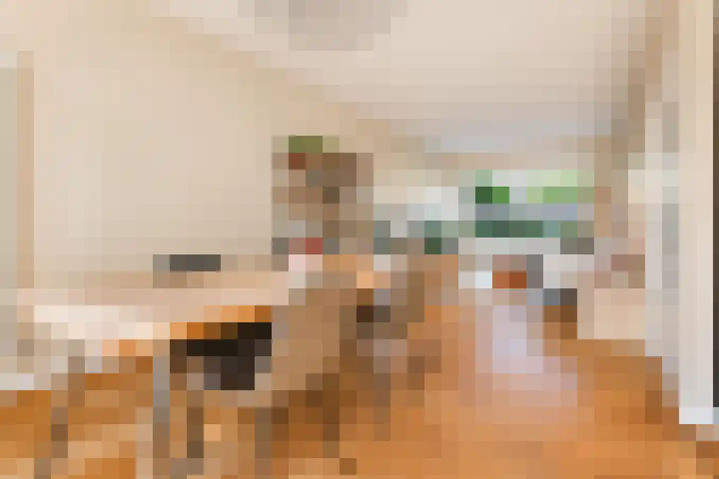Borchsatelaan 136 Rotterdam thumbnail 8