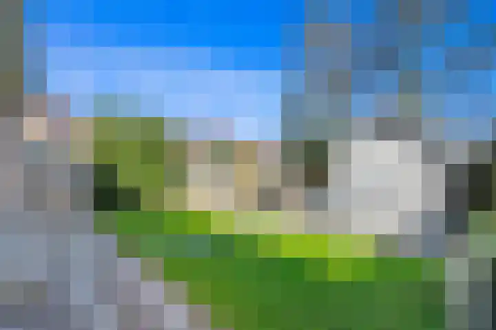 Borchsatelaan 23 Rotterdam thumbnail 16