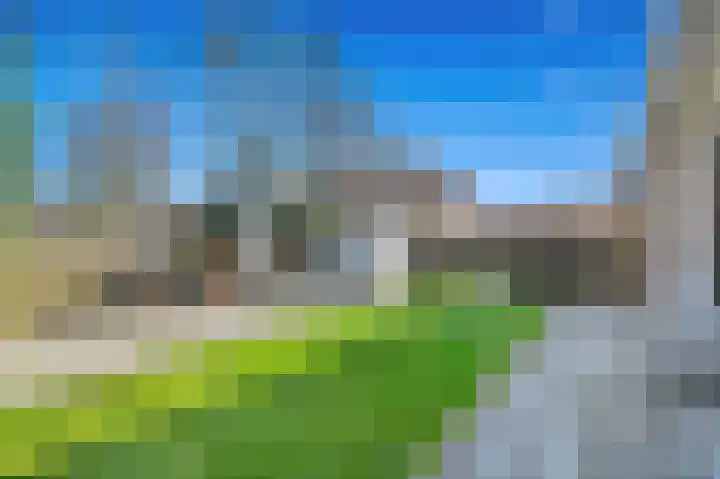 Borchsatelaan 23 Rotterdam thumbnail 17
