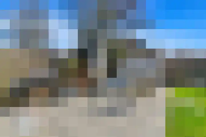 Borchsatelaan 23 Rotterdam thumbnail 18