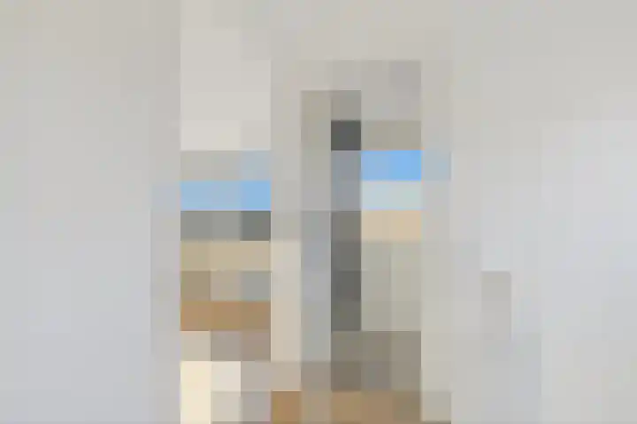 Borchsatelaan 23 Rotterdam thumbnail 37