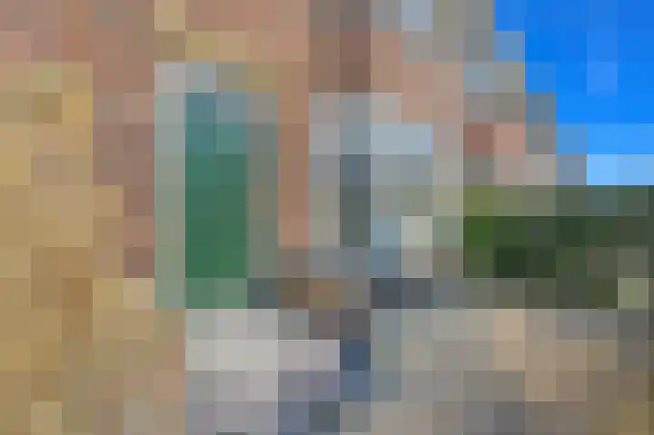 Borchsatelaan 23 Rotterdam thumbnail 8