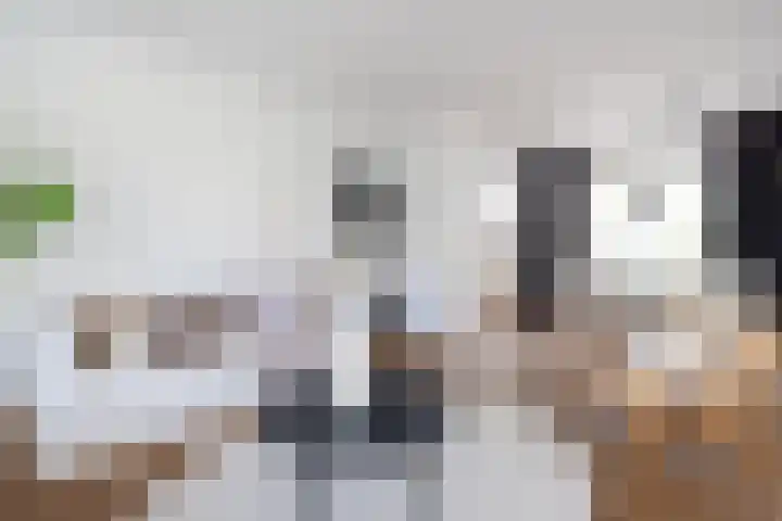 Borchsatelaan 38 Rotterdam thumbnail 13