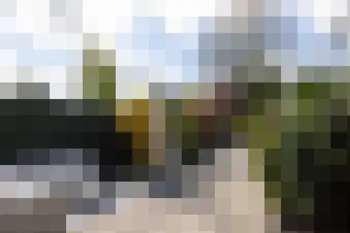 Borchsatelaan 38 Rotterdam thumbnail 31