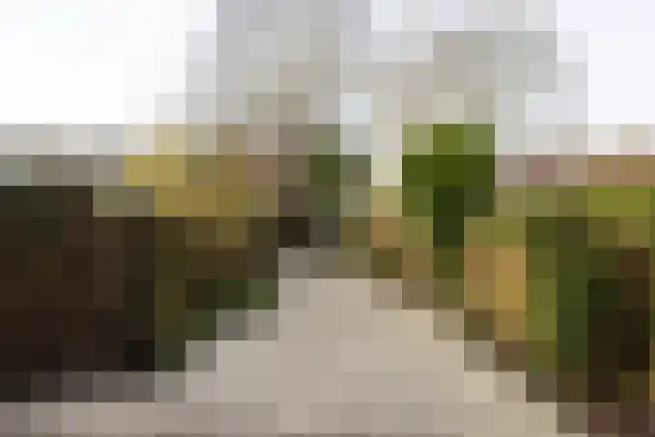 Borchsatelaan 38 Rotterdam thumbnail 32