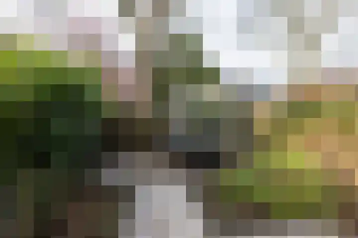 Borchsatelaan 38 Rotterdam thumbnail 33