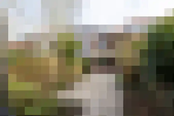 Borchsatelaan 38 Rotterdam thumbnail 34