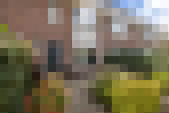 Borchsatelaan 38 Rotterdam thumbnail 36