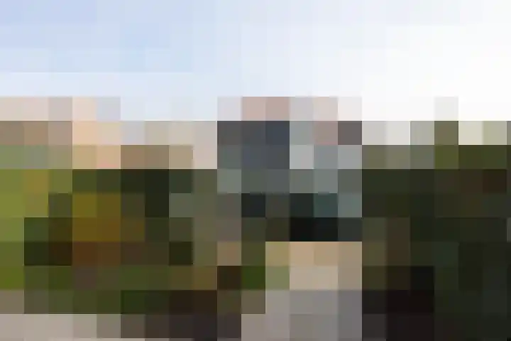 Borchsatelaan 38 Rotterdam thumbnail 37