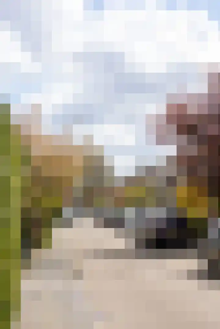 Borchsatelaan 38 Rotterdam thumbnail 38