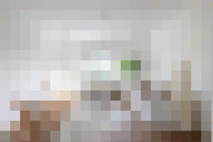 Borchsatelaan 38 Rotterdam thumbnail 7