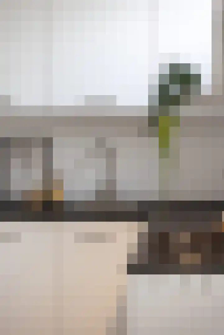 Borchsatelaan 38 Rotterdam thumbnail 9