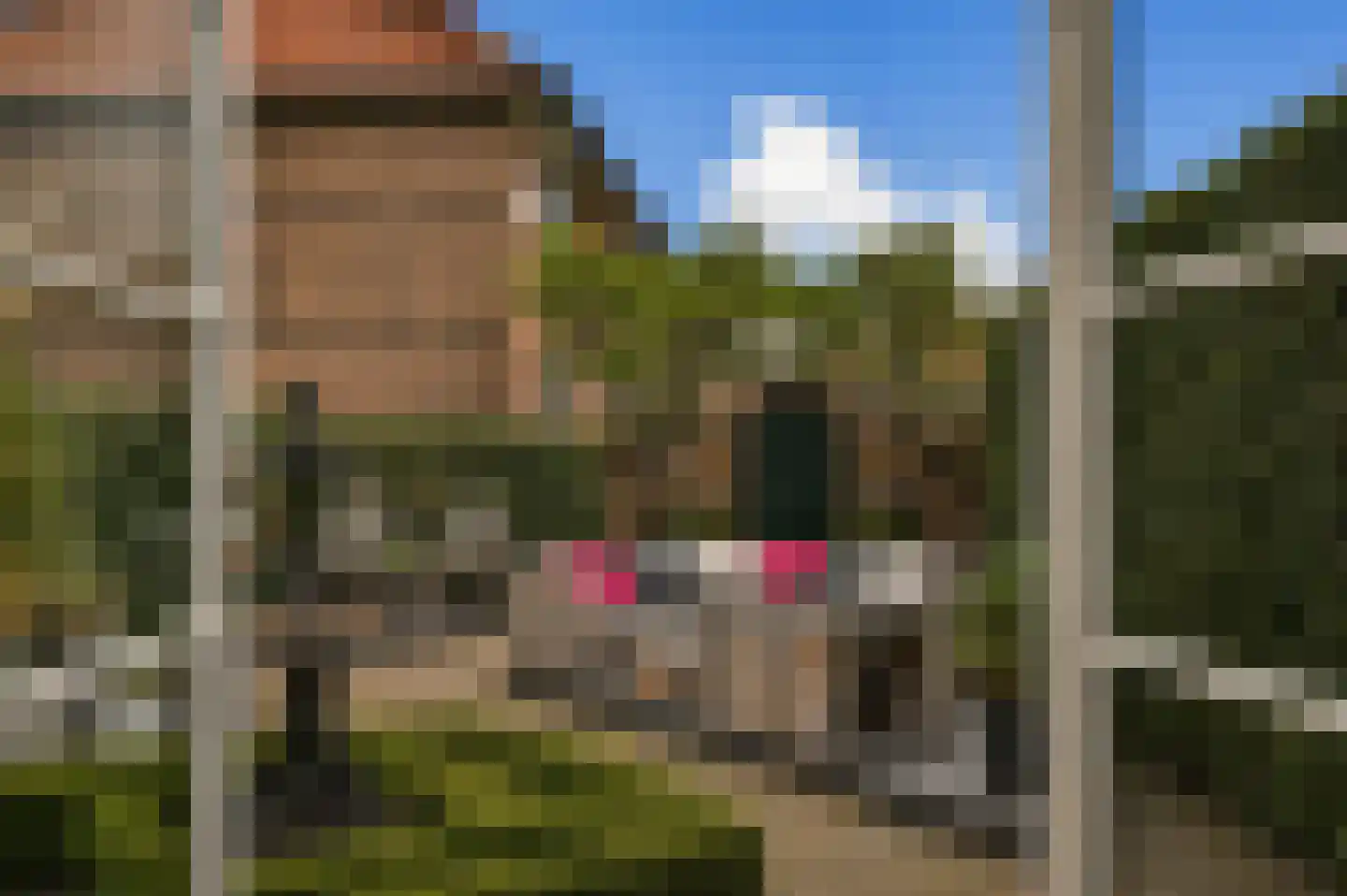 Borchsatelaan 57 Rotterdam thumbnail 11