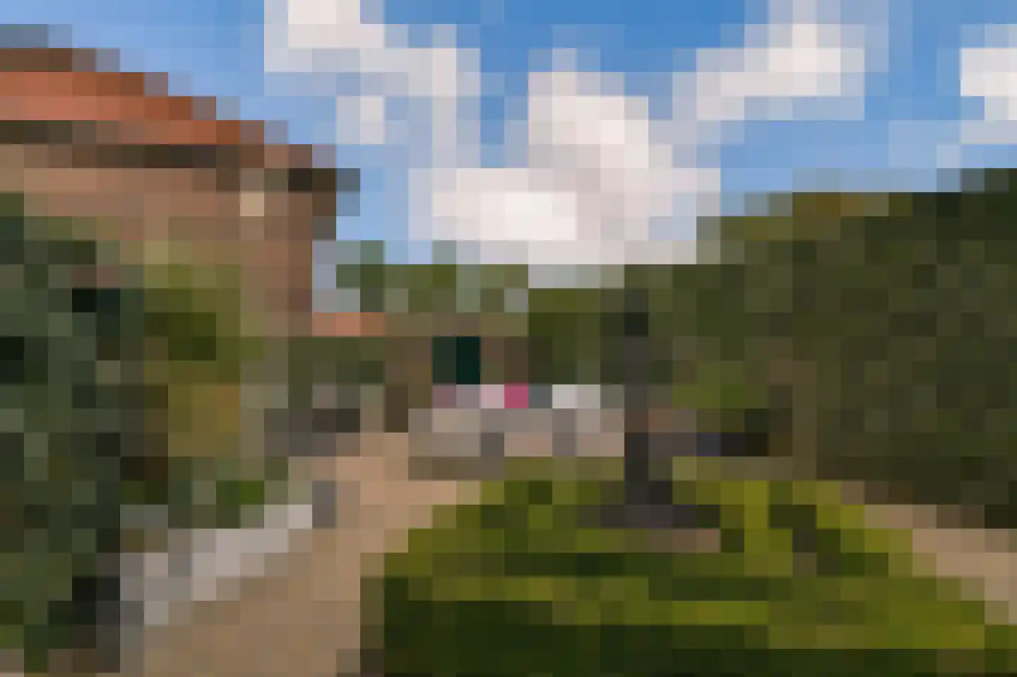 Borchsatelaan 57 Rotterdam thumbnail 12