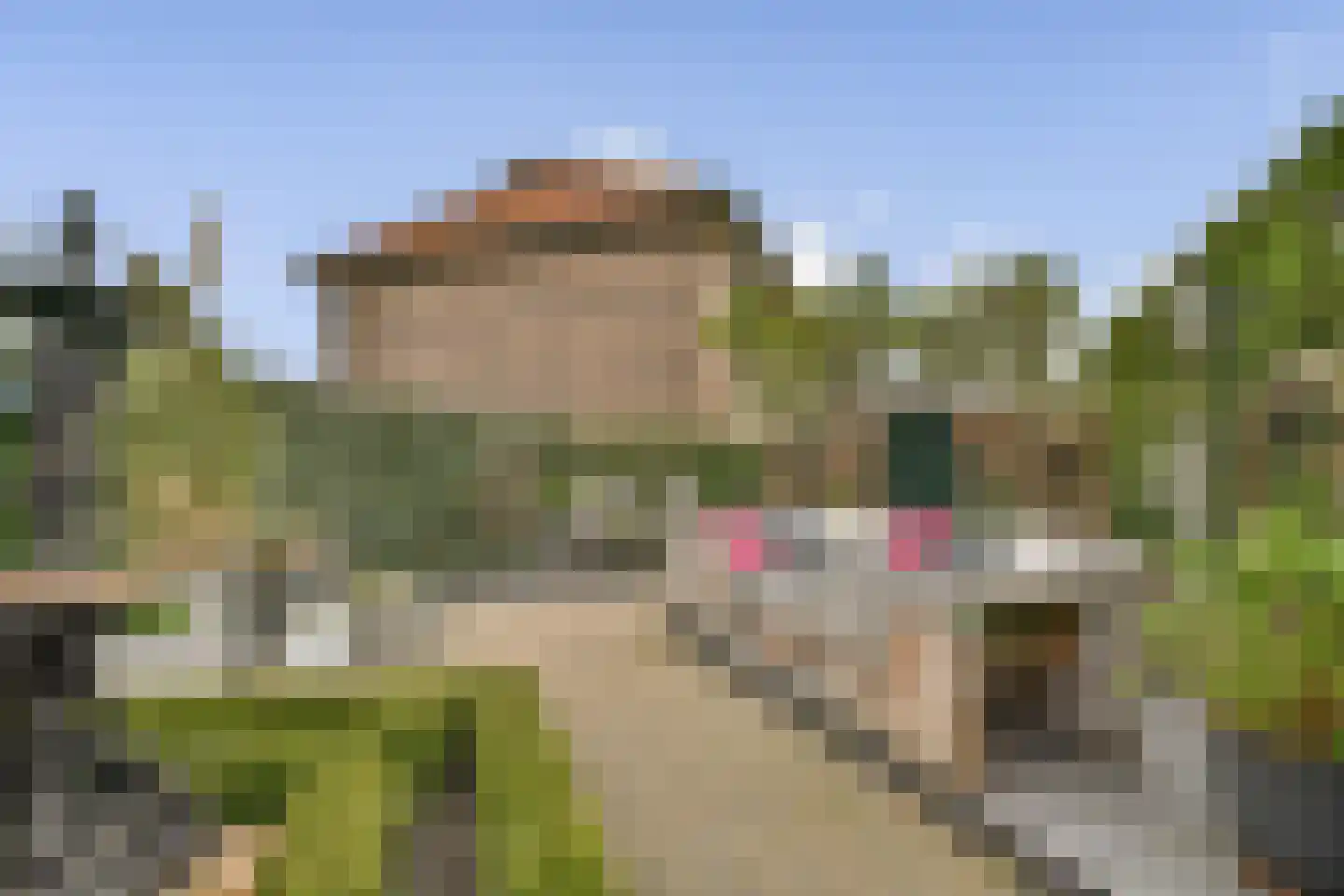 Borchsatelaan 57 Rotterdam thumbnail 13