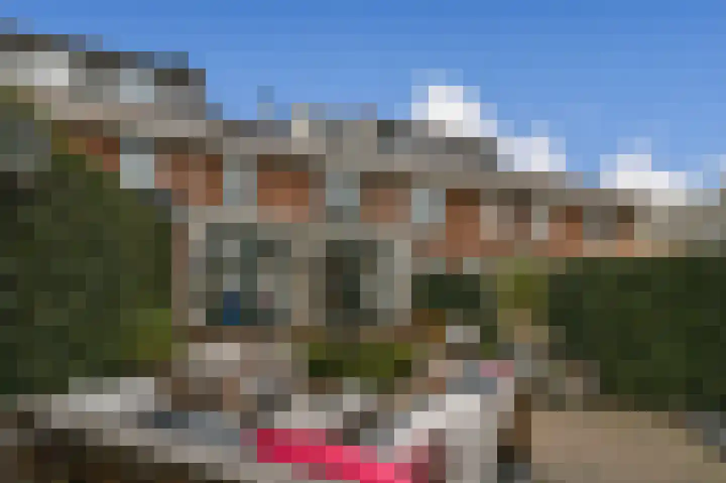 Borchsatelaan 57 Rotterdam thumbnail 14