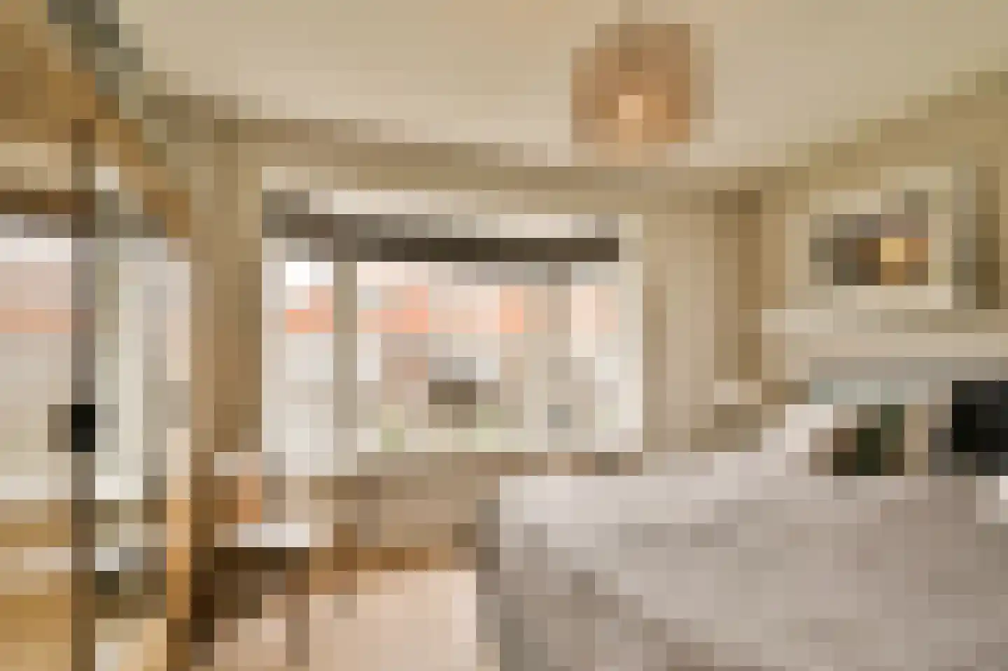 Borchsatelaan 57 Rotterdam thumbnail 19