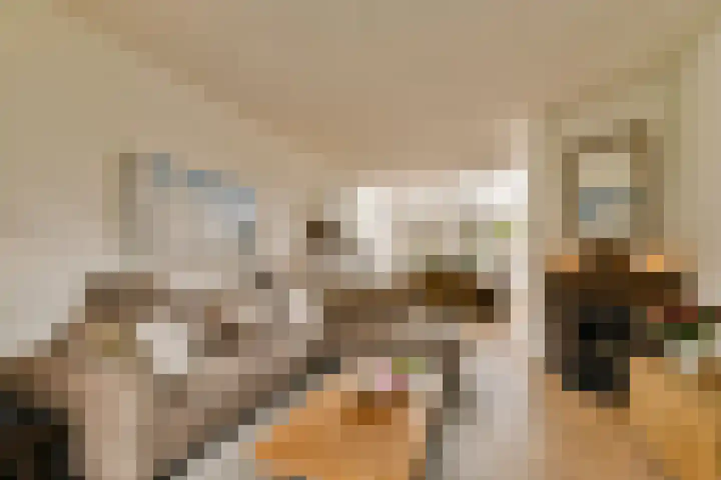 Borchsatelaan 57 Rotterdam thumbnail 6