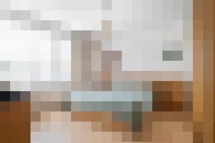 Borchsatelaan 62 Rotterdam thumbnail 15