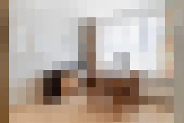 Borchsatelaan 62 Rotterdam thumbnail 16