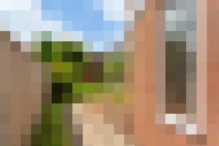 Borchsatelaan 62 Rotterdam thumbnail 23