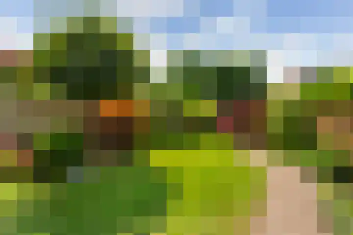 Borchsatelaan 62 Rotterdam thumbnail 26